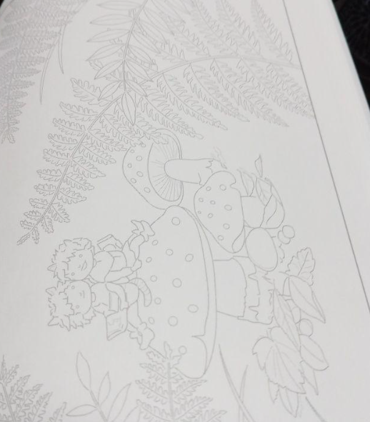 Beautiful Coloring Book for Adults Edited by Moe Nagata - Japanese Craft Book