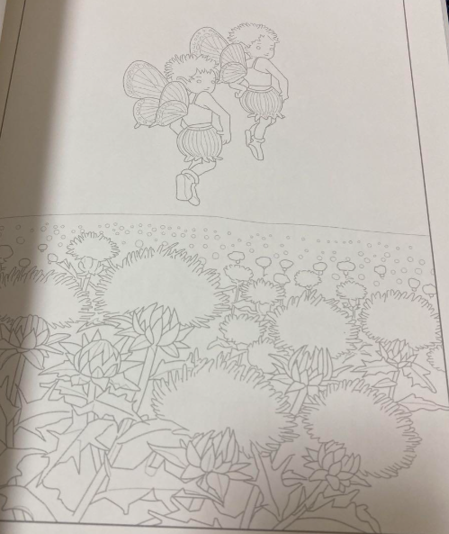 Beautiful Coloring Book for Adults Edited by Moe Nagata - Japanese Craft Book