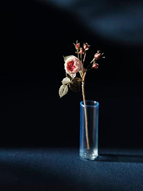 A small rose specialty store in Paris, France. miniature rose book