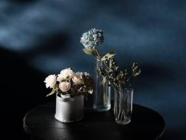 A small rose specialty store in Paris, France. miniature rose book