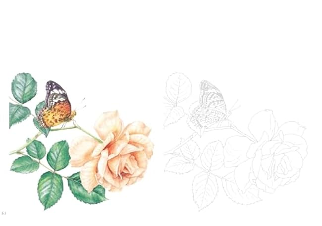 Postcard size coloring book - News of flowers Japanese Coloring Book