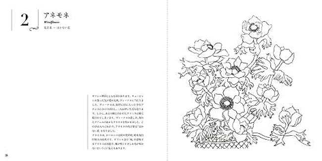 Sketch coloring book for adults - Beautiful elegant flowers - Colorful language of flowers - Japanese Coloring Book