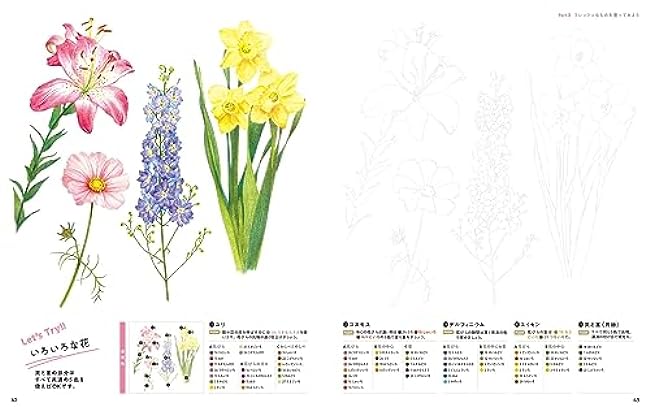 A class on how to color with soft and easy colored pencils starting with a drawing-style coloring book - Japanese Coloring Book