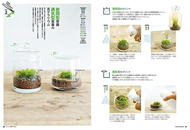 My first moss interior by Michikusa - Japanese Craft Book