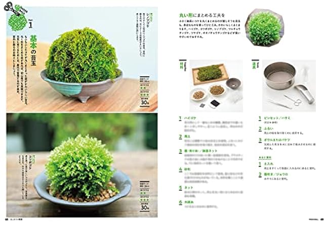 My first moss interior by Michikusa - Japanese Craft Book