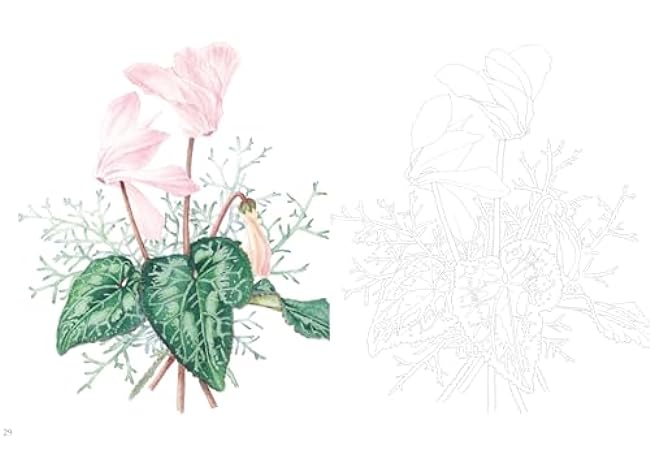 Postcard size coloring book - News of flowers Japanese Coloring Book