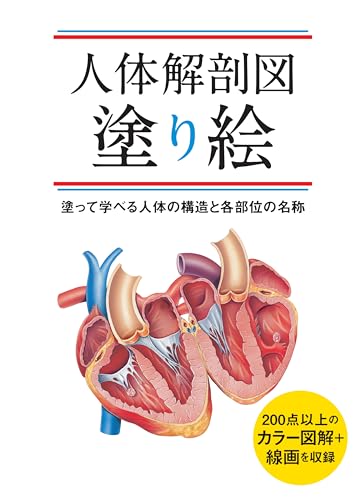 Human Anatomy Coloring Book: Learn about the structure of the human body and the names of its various parts by coloring. Japanese Craft Book