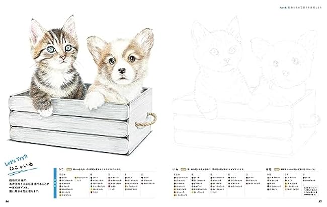 A class on how to color with soft and easy colored pencils starting with a drawing-style coloring book - Japanese Coloring Book