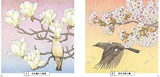 Sketch coloring book for adults: Gorgeous illustrations of flowers and birds ~Traditional style depicting stillness and movement~ Japanese Coloring Book