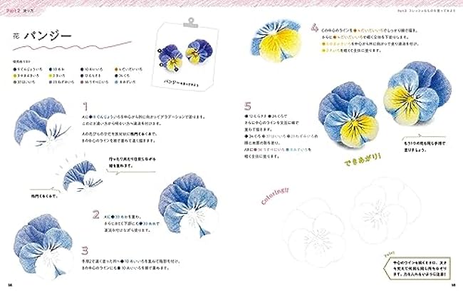 A class on how to color with soft and easy colored pencils starting with a drawing-style coloring book - Japanese Coloring Book