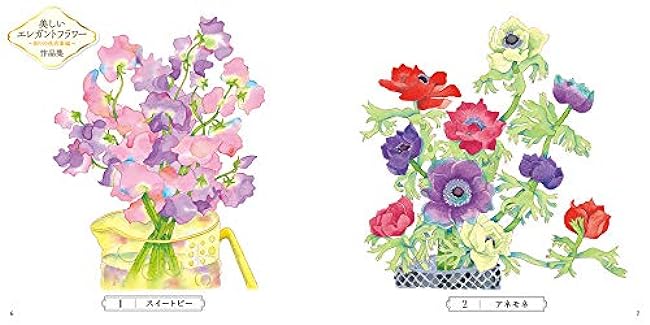 Sketch coloring book for adults - Beautiful elegant flowers - Colorful language of flowers - Japanese Coloring Book