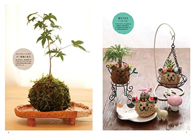 The most comprehensive textbook on moss Mio Nakamura Feel The Garden (How to enjoy moss as a hobby)- Japanese Craft Book