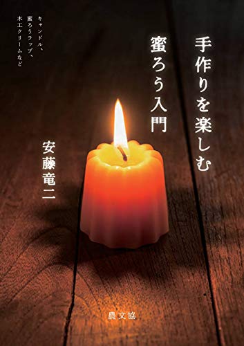 Enjoy Handmade Introduction to Beeswax: Candles, Beeswax Wraps, Woodworking Cream, and More Paperback Japanese Craft Book
