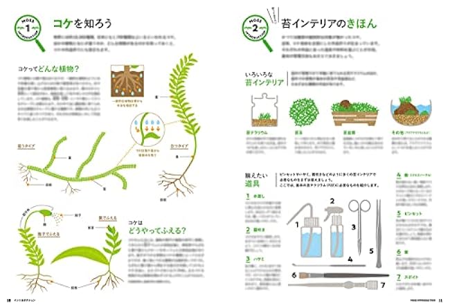 My first moss interior by Michikusa - Japanese Craft Book