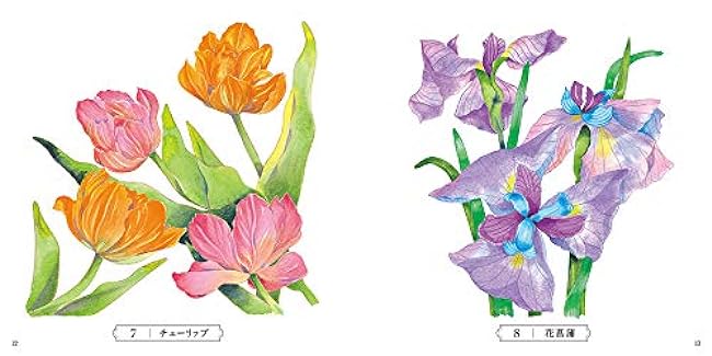 Sketch coloring book for adults - Beautiful elegant flowers - Colorful language of flowers - Japanese Coloring Book