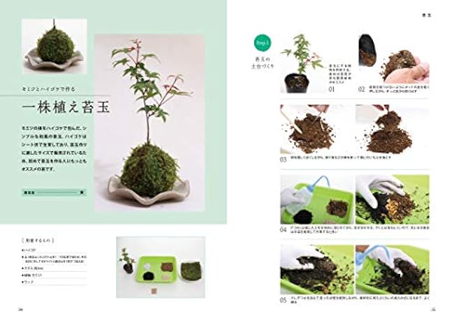 The most comprehensive textbook on moss Mio Nakamura Feel The Garden (How to enjoy moss as a hobby)- Japanese Craft Book