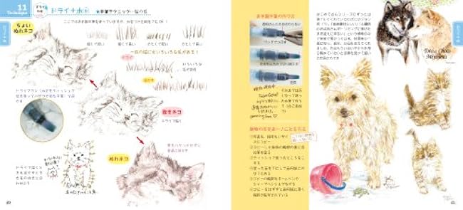 Magical Watercolor Pencil Techniques for Beginners with DVD - Japanese Craft Book