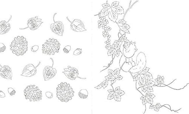 Beautiful Japanese coloring book that helps you concentrate and refreshes your mind - Japanese Coloring Book