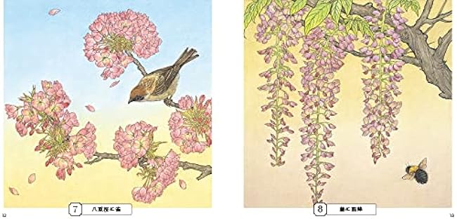 Sketch coloring book for adults: Gorgeous illustrations of flowers and birds ~Traditional style depicting stillness and movement~ Japanese Coloring Book