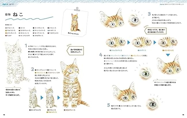 A class on how to color with soft and easy colored pencils starting with a drawing-style coloring book - Japanese Coloring Book