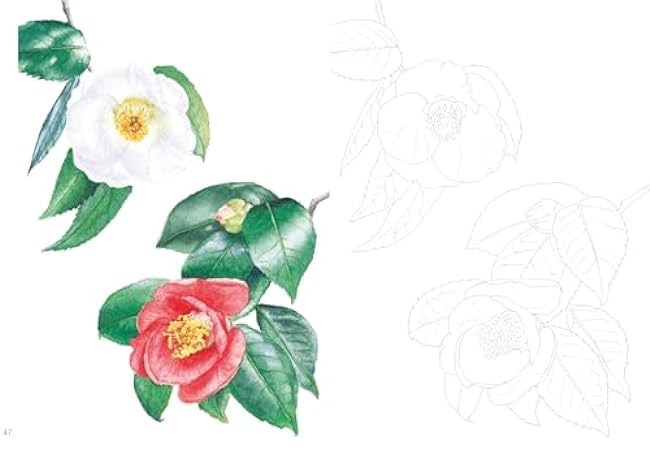 Postcard size coloring book - News of flowers Japanese Coloring Book