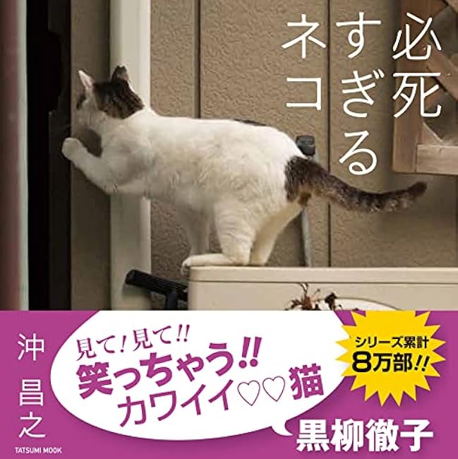 Photo collection Too Desperate Cat (Tatsumi Mook)
