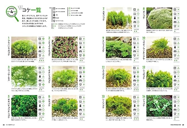 My first moss interior by Michikusa - Japanese Craft Book