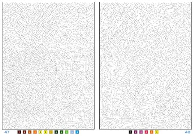 100 Puzzle Coloring Book 6 Beautiful Nature (Art Therapy Series) - Japanese Craft Book