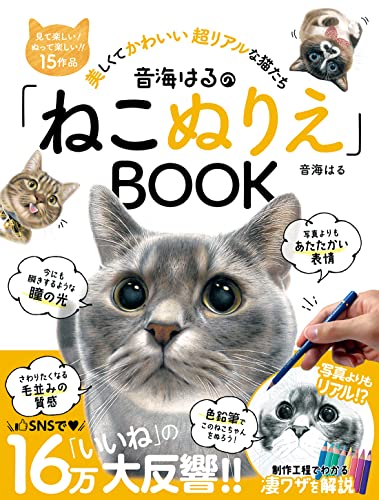 Haruno Otomi's "Cat Coloring Book" BOOK Japanese Craft Book