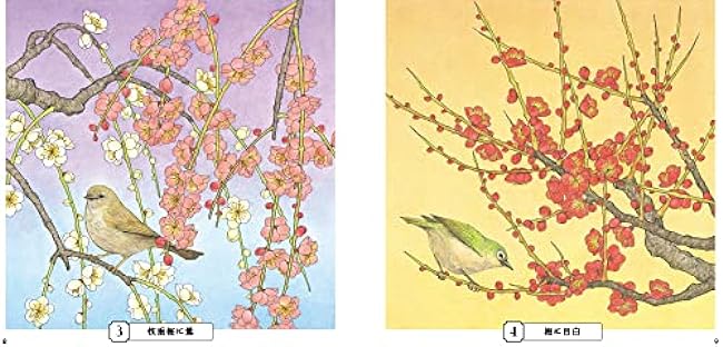 Sketch coloring book for adults: Gorgeous illustrations of flowers and birds ~Traditional style depicting stillness and movement~ Japanese Coloring Book