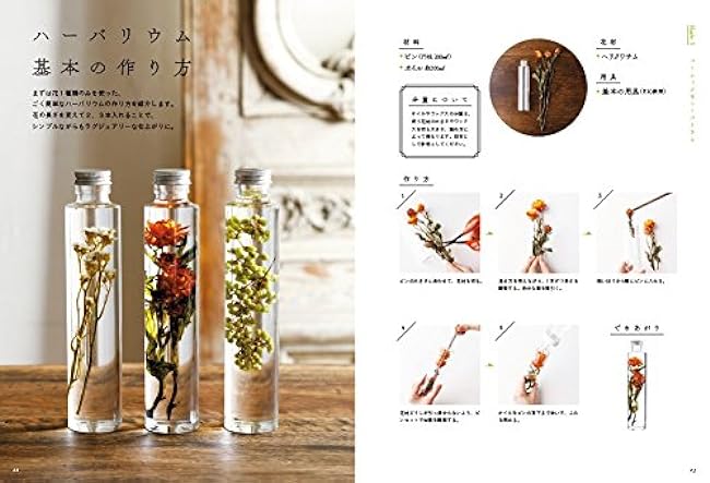 Textbook for making herbariums: Plant Specimen - Even beginners can make them successfully! - Japanese Craft Book