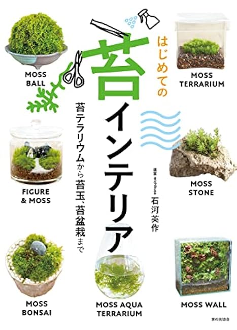 My first moss interior by Michikusa - Japanese Craft Book