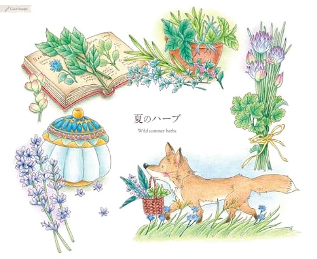 Special coloring book series Seasonal Wreaths of plants and friends - Japanese Coloring Book