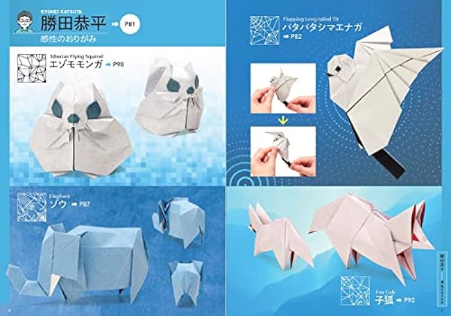 Transcendent Origami Japanese Book Origami Makoto Yamaguchi - Japanese Craft Book*