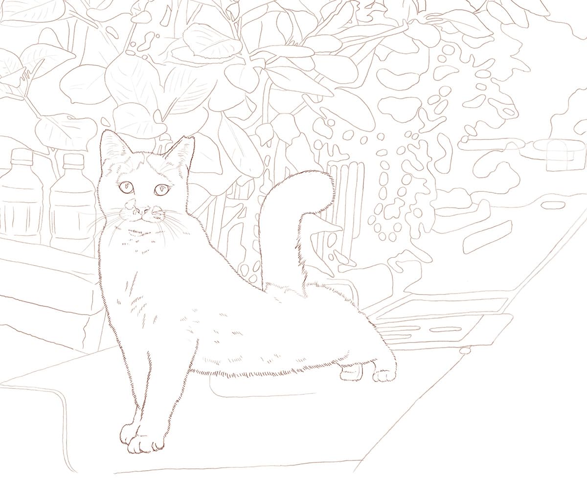 Masayuki Oki's the Free-roaming Cats - Japanese Coloring Book
