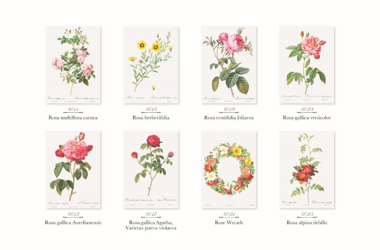 Postcard coloring book: Beautiful Roses by Redouté - From the monumental work of botanical art, "Rose Illustrated Book" Japanese Coloring Book