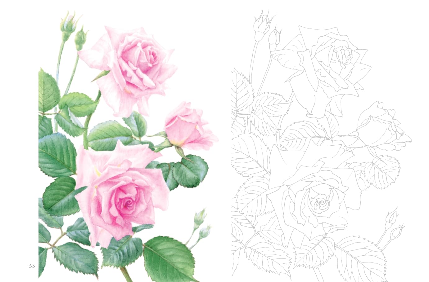 Postcard size coloring book - Flower scent - Japanese Coloring Book