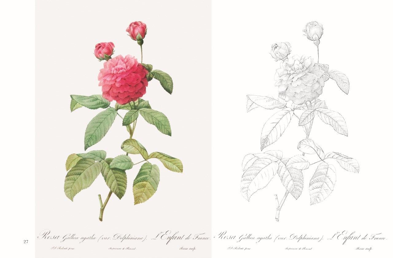 Postcard coloring book: Beautiful Roses by Redouté - From the monumental work of botanical art, "Rose Illustrated Book" Japanese Coloring Book