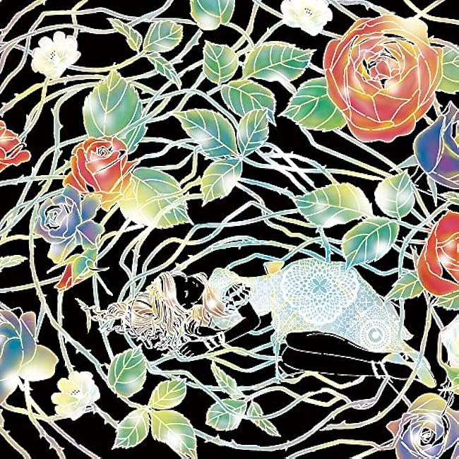 Scratch art to improve the autonomic nervous system?The stories of Swan Lake, the Nutcracker, and Sleeping Beauty? Japanese Coloring Book