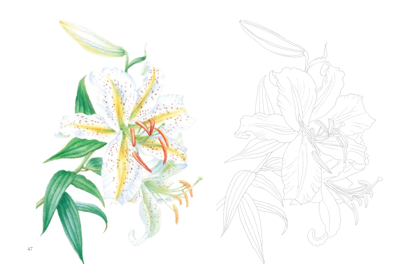 Postcard size coloring book - Flower scent - Japanese Coloring Book