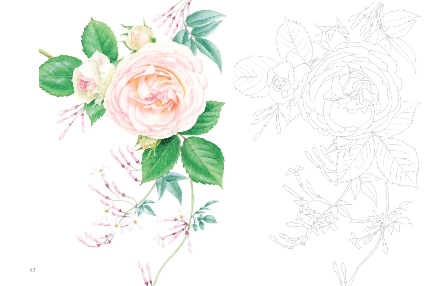 Postcard size coloring book - Flower scent - Japanese Coloring Book