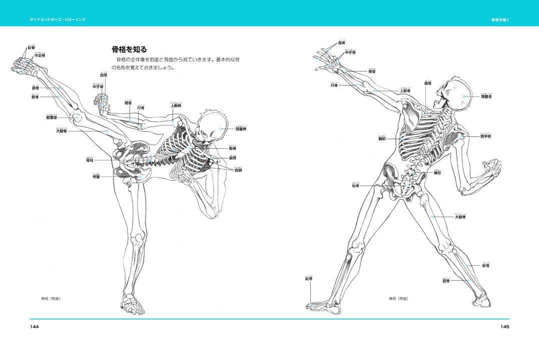 Dynamic pose drawing: Freehand Figure Drawing for Illustrators - Japanese Craft Book