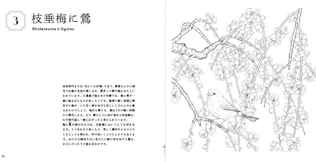 Sketch coloring book for adults: Gorgeous illustrations of flowers and birds ~Traditional style depicting stillness and movement~ Japanese Coloring Book