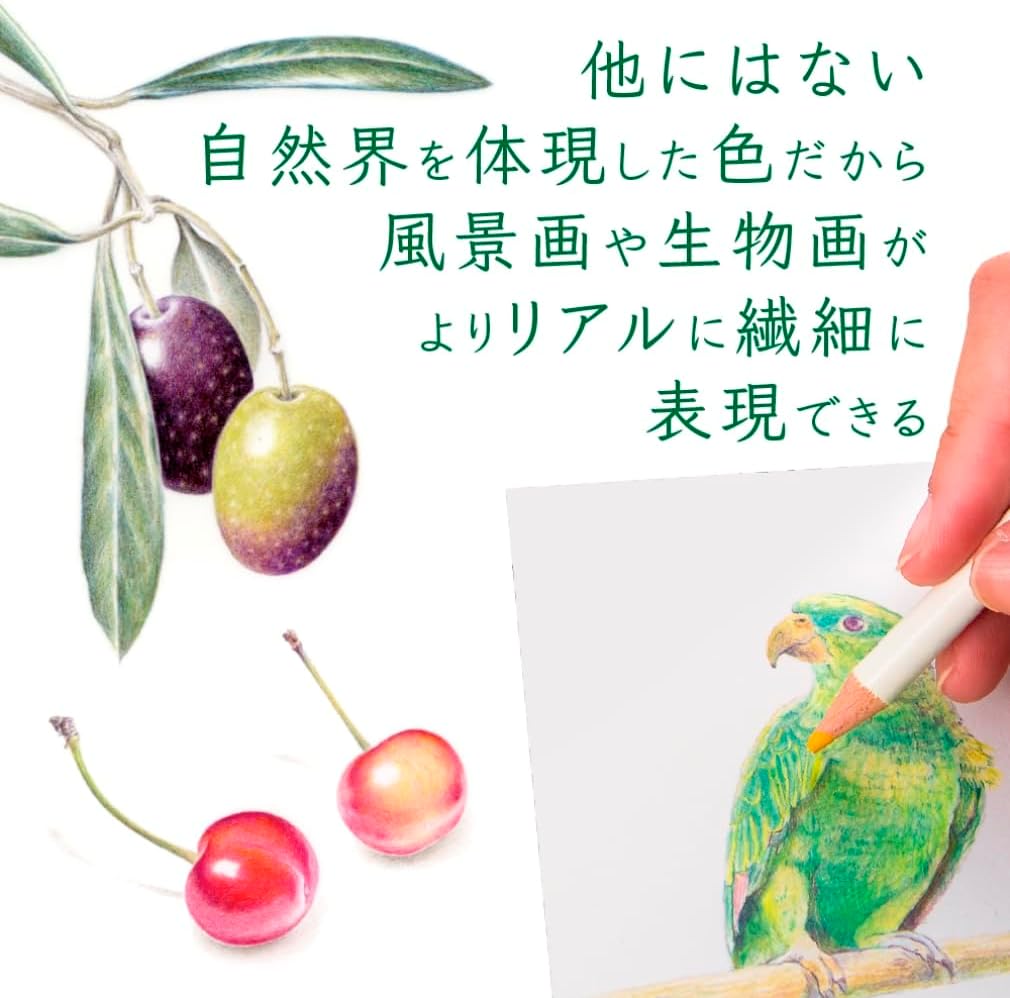 Tombow Color Dictionary, IROJITEN 100 Colored Pencils set, High-Quality Japanese Stationary - Japan Coloring book