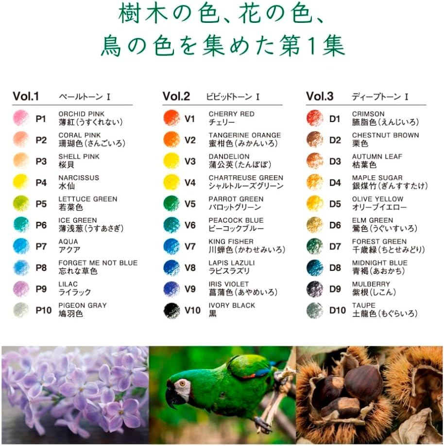 Tombow Color Dictionary, IROJITEN 100 Colored Pencils set, High-Quality Japanese Stationary - Japan Coloring book