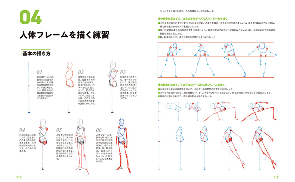 Master guide on how to draw the human body: Learn character drawing from the basics Japanese Craft Book