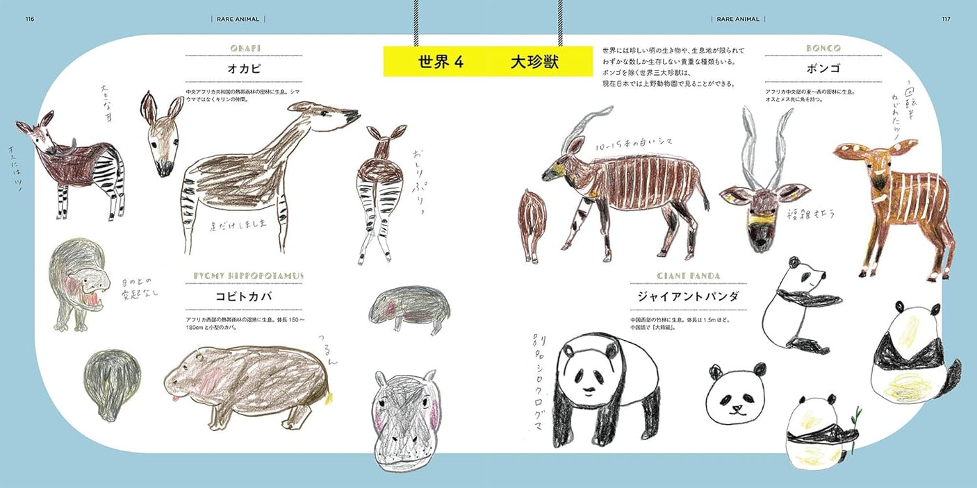 Miyata Chika's Drawing Zoo New Edition Japanese Craft Book