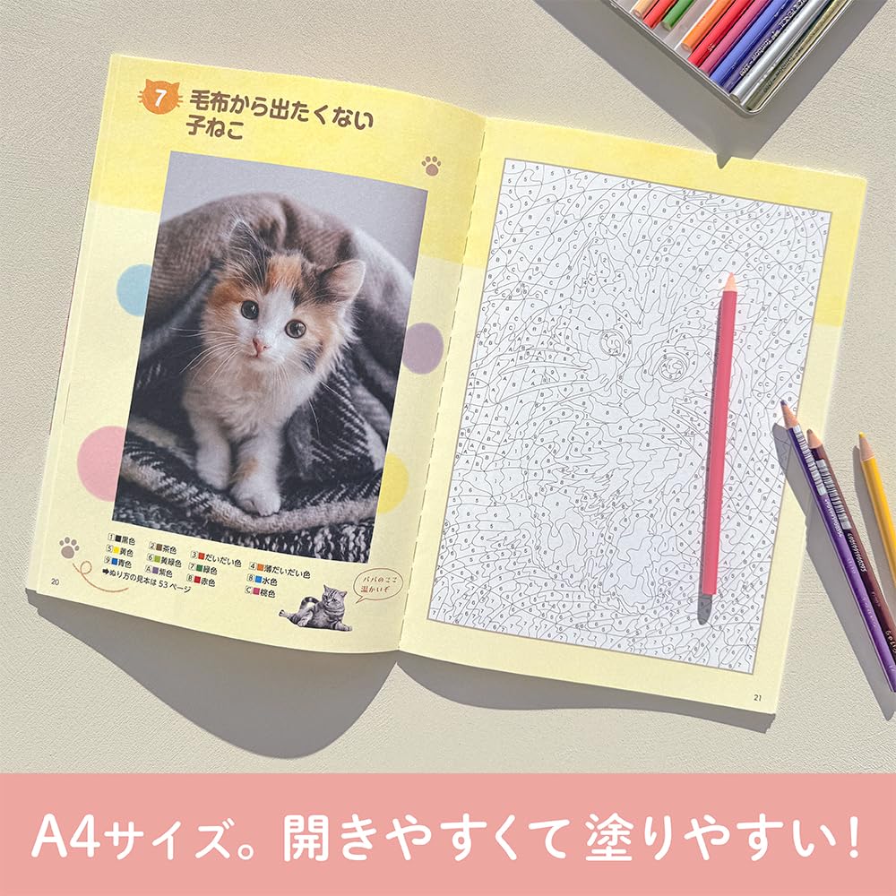 Daily Brain Training Special: Cat Number Puzzle Coloring Book - Just color in the correct numbers! Improves concentration and memory - Japanese Craft Book