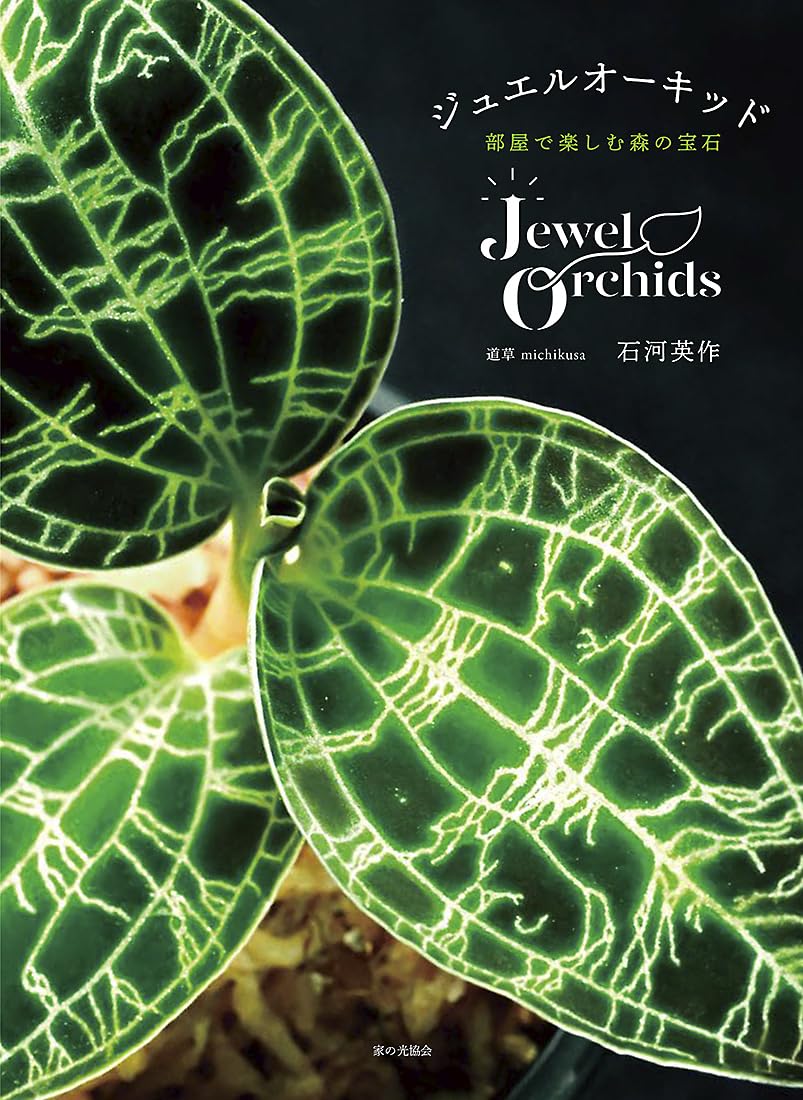 Jewel Orchid (Forest jewels to enjoy in your room)- Japanese craft book