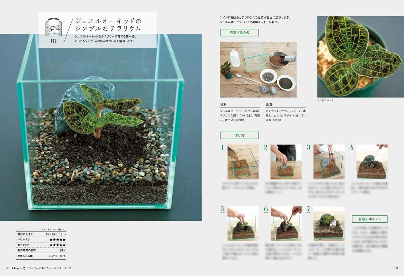 Jewel Orchid (Forest jewels to enjoy in your room)- Japanese craft book
